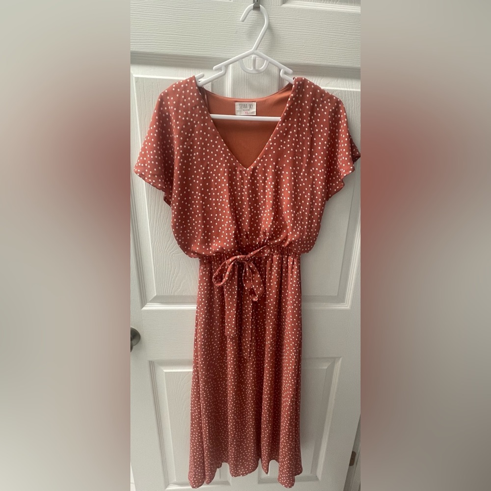 Women’s Sienna Sky Pink polka dot midi dress- SZ XS